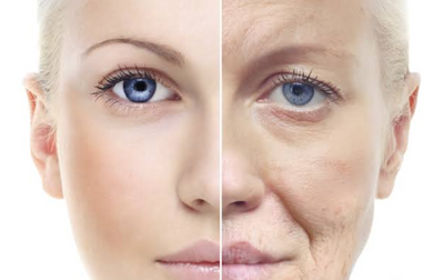 By age 50, NAD+ levels can fall by ~50%.